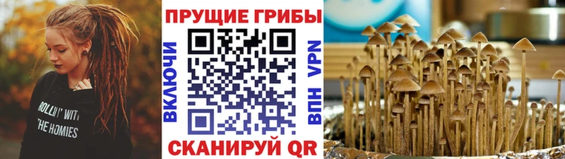 Галлюциногенные грибы MAGIC MUSHROOMS  Первоуральск 