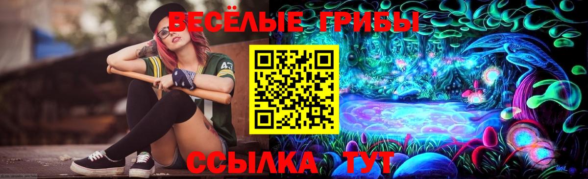 Псилоцибиновые грибы GOLDEN TEACHER  купить закладку  Первоуральск  Вход с VPN 